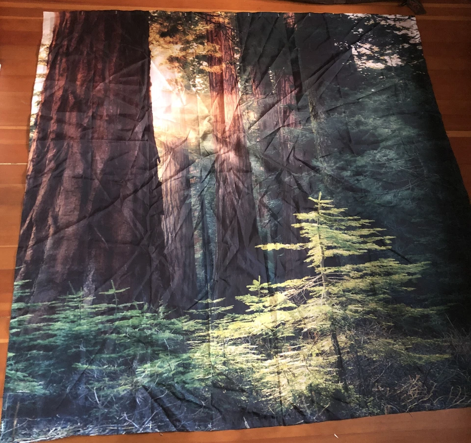 Redwood Douglas Fir Forest Scene Shower Curtain Excellent Cond. 68” X 69” - Image 1 of 1