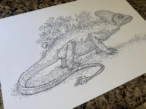 • Anders NILSEN signierter Druck: "FOREST LIZARD" (13"x19") - Bild 1 von 8