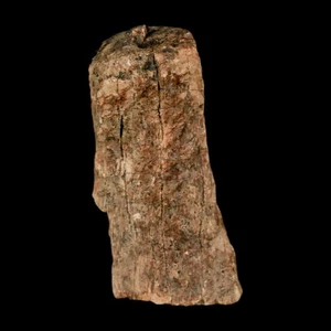 1.2" Tyrannosaurus Rex Fossil Bone Dinosaur Lance Creek Formation Wyoming COA - Picture 1 of 10