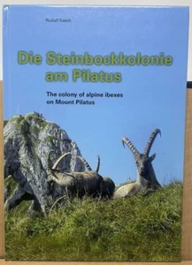 Die Steinbockkolonie am Pilatus The colony of alpine ibexes on Mount Pilatus C2 - Imagen 1 de 9