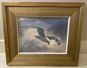Marguerite E. Falconer: Original Oil on Canvas Seagull Painting Framed 17 X 14 - Picture 1 of 5