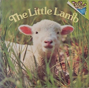 The Little Lamb Phoebe & Judy Dunn 1977 Picturback Children's Book Random House - Picture 1 of 12