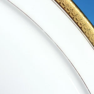 CF Haviland Schleiger 405 15" Oval Serving Platter Limoges Gold Rim Luxe - Picture 1 of 9