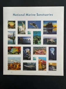 Scott #5713 National Marine Sanctuaries Pane of 16 Forever Stamps (2022) - Picture 1 of 1