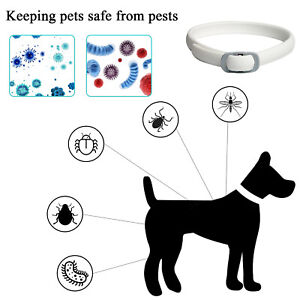 Anti-Insekten-Floh- und Zeckenhalsband 8-Monate Schutz für Haustier Hund Katzen