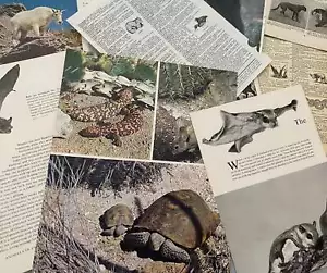 Carte da riutilizzare: 1/8 lb mix di pagine di libri veri vintage con cr selvaggio - Foto 1 di 1