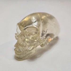Clear Acrylic Resin Enlongated Skull Indiana Jones Prop Replica 4 Inch - Picture 1 of 12
