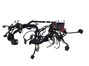 Sistema De Cableado Eléctrico Original KTM 890 DUKE R 220/2022 63611075000 - Zdjęcie 1 z 24