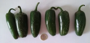 JALAPEÑO JUMBO EXTRA GRANDE 30 SEMILLAS CHILE SEEDS PICANTE PIMIENTO CHILI - Imagen 1 de 11