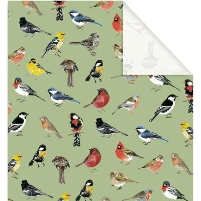 6 hojas de papel de envolver pájaros - mini rollo - papel de regalo verde para cumpleaños... Foto 1 de 4