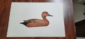 Arthur Nevin Signed "Cinnamon Teal Drake Decoy" 48/150 Etching - Picture 1 of 7