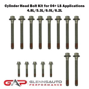 PAIR of BTR LS Cylinder Head Bolt Kits for 2004+ LS2/LS3/4.8L/5.3L/6.0L/6.2L - Foto 1 di 1