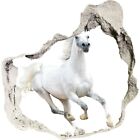 3D Loch Fototapete Aufkleber Wandbild Dekoration Weißes arabisches Pferd