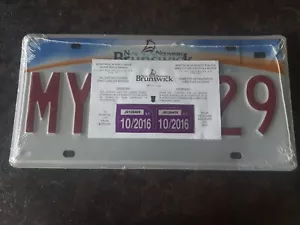 New Brunswick PAIR Government Issued Custom License Plate MY 1929 Canada - Picture 1 of 4