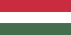 5' x 3' National Flag of Hungary Fabric Polyester Flag Hungarian National Day - Picture 1 of 3