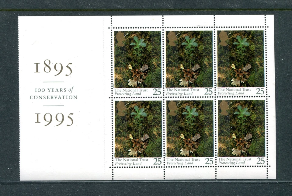 GREAT BRITAIN 1607a, 1995 25p PROTECTING LAND, BPOF6, MNH (GB398K) - Image 1 of 1
