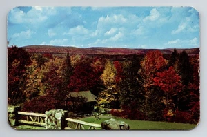 Postcard Autumn Foliage in Pocono Mountains of Pennsylvania - Picture 1 of 2
