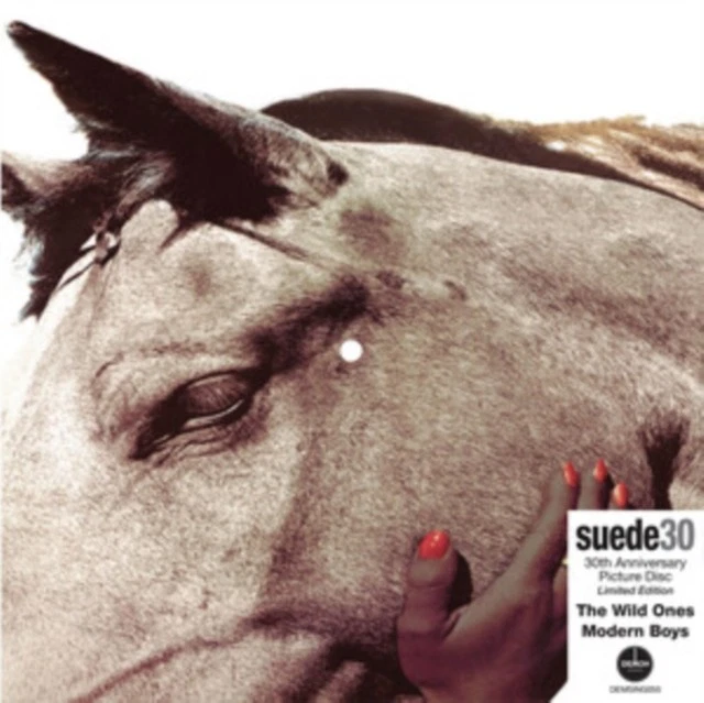 SUEDE - 7-THE WILD ONES - MODERN BOYS - New Vinyl Record 12in - V1111z - Image 1 of 1