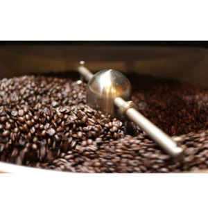 Kopi Luwak - Der seltenste Kaffee der Welt (200g / 500g) - Kurumira Shop - Bild 1 von 10