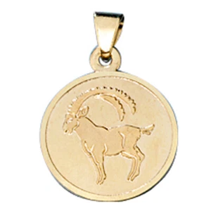 JOBO Anhänger Sternzeichen Steinbock 333 Gold Gelbgold matt Sternzeichenanhänger - Picture 1 of 2