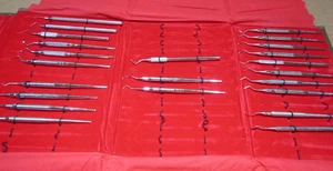 lot 23 Dental Picks Tools American Dental Hu Friedy w/case - Picture 1 of 12