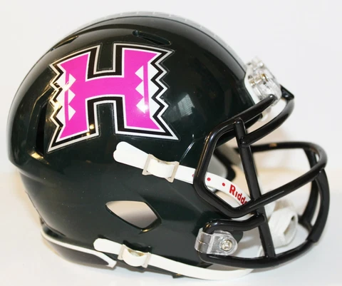 2015 Hawaii Rainbow Warriors Custom Riddell Mini Helmet vs San Diego State Cover