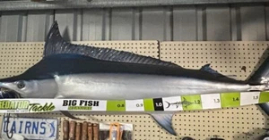 4 METER BIG FISH MEASURING TAPE - Picture 1 of 1