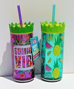 Dos (2) botellas de bebida aisladas de doble pared de 16 oz - ambiente y fruta de verano - Imagen 1 de 1