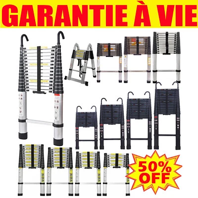 Grande vente! Multifonction Échelle Télescopique Escamotable d'atelier 2.6m-6.2m - Photo 1/4