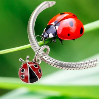 Bracelet - Coccinelle - en Argent Sterling 925 et émail Rouge - Immagine 1 di 2