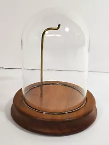 Taschenuhr Display Holz und Glaskuppel Cloche - Bild 1 von 9
