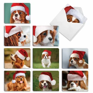 20 Christmas Cards (10 Designs, 2 Each) - Cavalier King Charles AM6831XSG-B2x10 - Picture 1 of 6