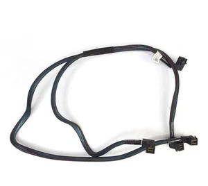 SAS Cable Dell PowerEdge R730 2xSFF-8643 for 2xSFF-8643 on-board SATA 13CCM - Afbeelding 1 van 1