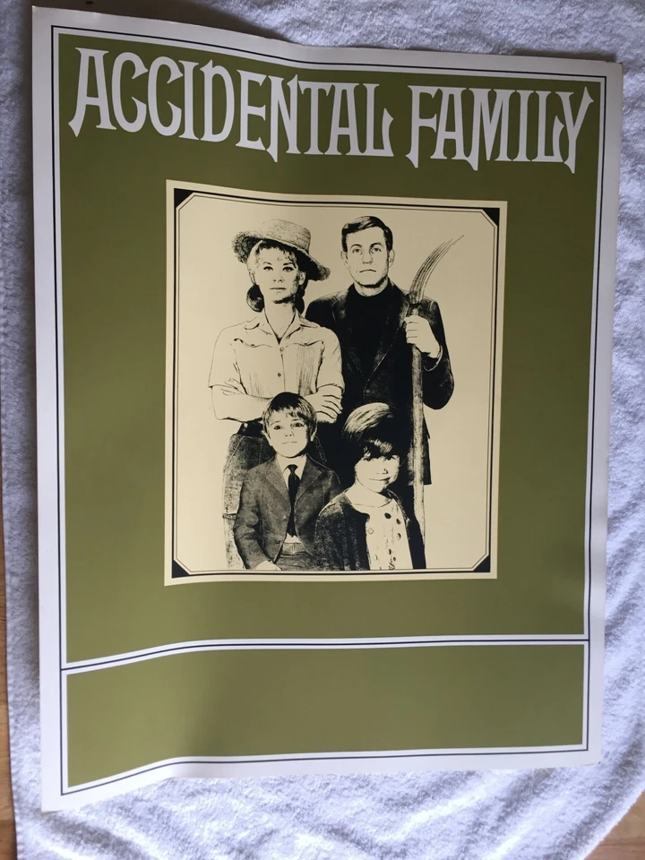 Raro póster "Accidental Family" promoción NBC 1967 Jerry Van Dyke 22x28" programa de televisión Foto 1 de 1