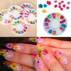 12 Colour Nail 3D Art Dried Dry Flowers Wheel Gel False Nails Tips Manicure UK - Picture 1 of 1