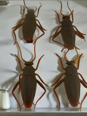 4 clips para cucarachas bolsa para cucarachas agua insectos clip para astillas mordaza regalo insectos Foto 1 de 4