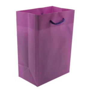 Frosted Plastic Purple Gift Tote Bag Rope Handle 12 Pack 4.5" x 2.75" x 6.5" - Picture 1 of 3