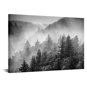 iKNOW FOTO Forest Picture Canvas Wall Art | Foggy Mountain Landscape with Mis... - Picture 1 of 7