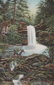 Maiden Hair Falls Beautiful Saphire Country Western NC Divided Back Post Card - Picture 1 of 3