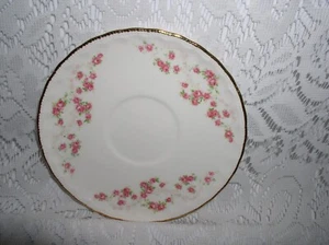 Pope Gosser China Hecho en EE. UU. Florencia Platillo Taza Plato Flores Rosa Borde Dorado - Imagen 1 de 3