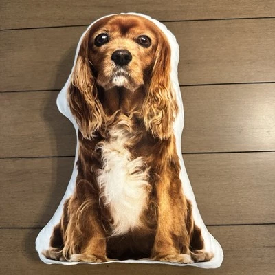 Almohada Cavalier King Charles Spaniel Doble Cara Estampado 14L 10.5W 4H Regalo Foto 1 de 4