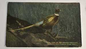 Tarjeta postal de recuerdo estándar antigua vintage faisán chino Washington WA - Imagen 1 de 2
