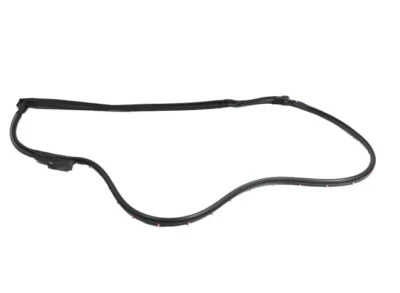 20-24 克莱斯勒 Pacifica 右前门开口 Weatherstrip 工厂 Mopar — 第 1/3 张图片