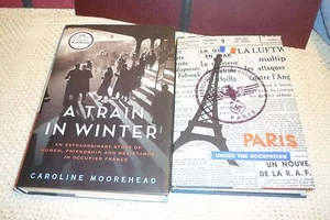 PARIS OCCUPIED WWII lot of 2 - Paris Under The Occupation by Gerard Walter +  - Imagen 1 de 6
