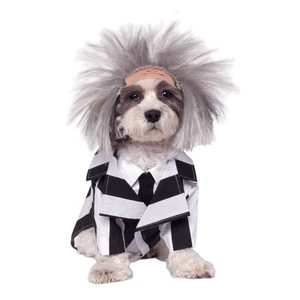 Beetlejuice Pet Costume - Size X-Large (Dogs & Cats) - Picture 1 of 2