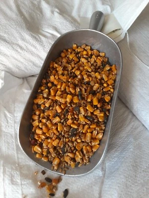 ЗЕРНА ДИКОЙ ПРИРОДЫ Сладкий Корм Олень Индейка Белки, Аромат Яблока, Кукуруза (5 или 10 фунтов) - Изображение 1 из 3