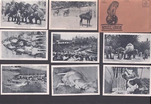 Postcard Saint Louis Zoological Gardens Missouri MO Set of 12 w Envelope 1940's - Picture 1 of 24