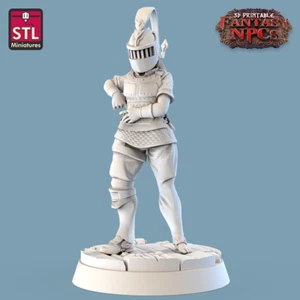 chevalier compatible dnd - Imagen 1 de 1