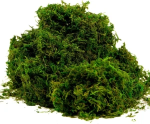 Artificial Moss Fake Green Grass for Centerpieces Home Kitchen Garden Decor (8OZ - Picture 1 of 12