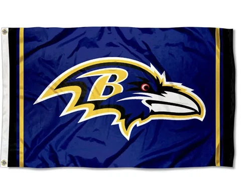 Buffalo Pro Football Team Flag 3 x 5 Tailgate Flag Mancave Football Banner Cover